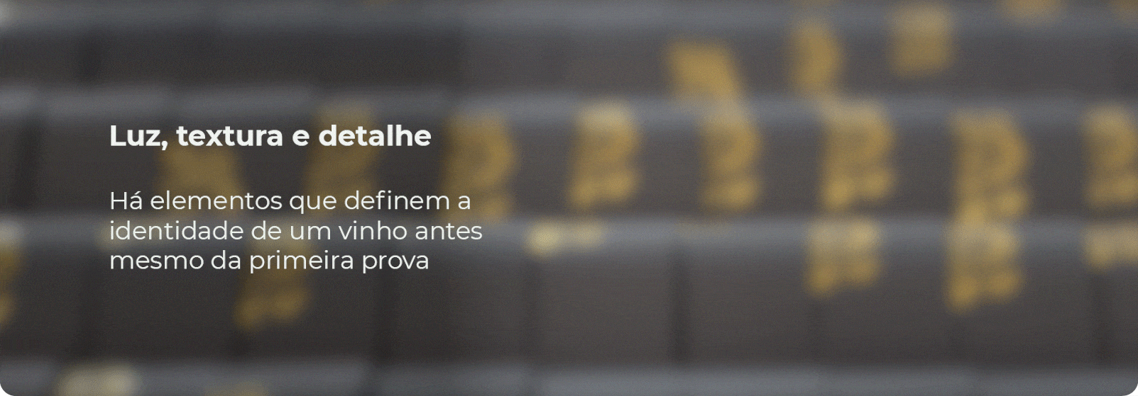 Banner Adega Quinta das Fontaltas (1)