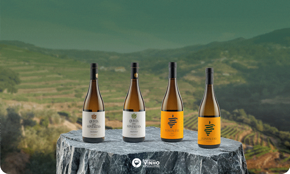 Provas cegas_Quinta das Fontaltas_Vinhos_Verdes_Brancos_região_do_douro_PT_Mobile